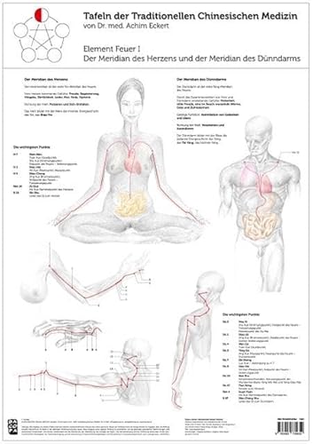 Beispielbild fr Tao Training Meridiantafel Feuer 1 Element zum Verkauf von Buchpark