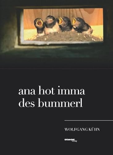 Stock image for ana hot imma des bummerl for sale by medimops