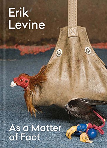 Stock image for Erik Levine: As a Matter of Fact. for sale by Grendel Books, ABAA/ILAB