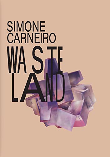 Stock image for Simone Carneiro: Wasteland for sale by PBShop.store US