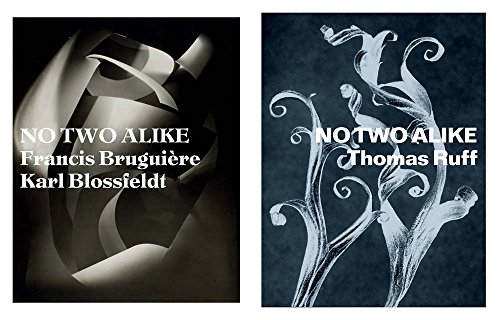 Stock image for No two alike : Karl Blossfeldt, Francis Bruguire, Thomas Ruff for sale by Kloof Booksellers & Scientia Verlag