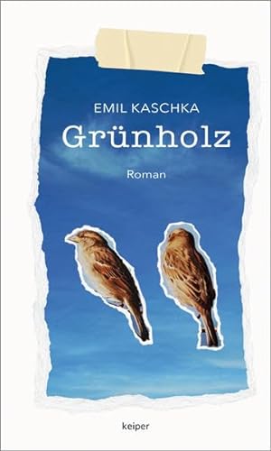 Stock image for Grnholz: Jugendroman for sale by medimops