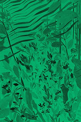 Imagen de archivo de David Eisl: GREEN SCREEN WEEDS AND DREAMING GRIDS a la venta por medimops