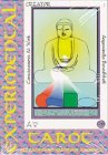 9783905017830: Experimental Tarot Deck