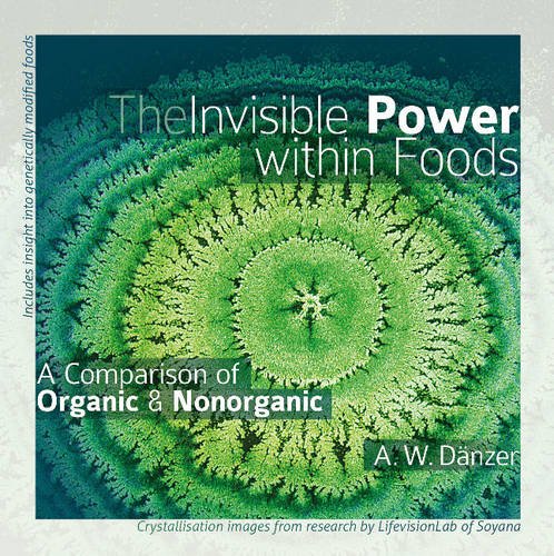 Stock image for The Invisible Power Within Foods for sale by GoldBooks
