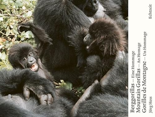 Berggorillas : eine Hommage = Mountain gorillas. Berggorillas sind freundliche und selbstgenügsame Waldwesen. Trotz ihrer erstaunlichen Kraft sind sie äusserst sanft und einfühlsam. Sie besitzen eine beeindruckende soziale Sensibilität, mit der sie, interessiert und neugierig, auch ihre eigene Artgrenze überschreiten. Ihr Wesen ist, trotz aller Studien, noch kaum erschlossen und mit Worten kaum zu würdigen, darum eine Hommage mit Bildern und Zitaten (dreisprachig D/E/F) - Hess, Jörg