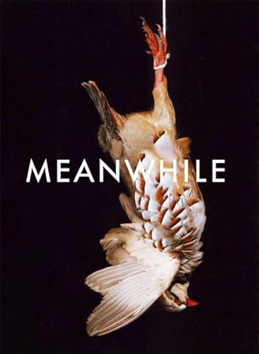 Shirana Shahbazi: Meanwhile (Hardcover) - Kate Bush