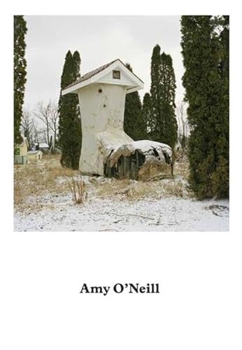 Amy O'Neill: Suburban Imagination (English)