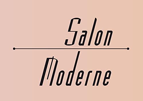 Beispielbild fr Salon Moderne zum Verkauf von medimops