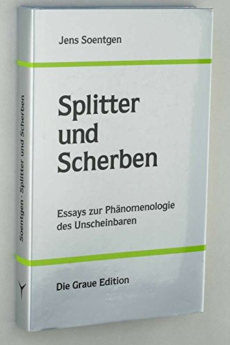 Splitter und Scherben : Essays zur Phänomenologie des Unscheinbaren - Jens Soentgen