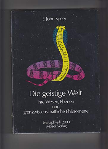 Die geistige Welt. Ihre Wesen, Ebenen und grenzwissenschaftliche Phänomene - E. John Speer