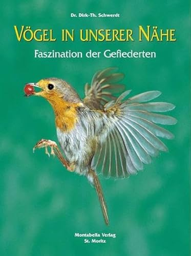 9783907067185: Vgel in unserer Nhe: Faszination der Gefiederten