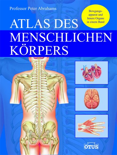 Stock image for Atlas des menschlischen Krpers for sale by medimops