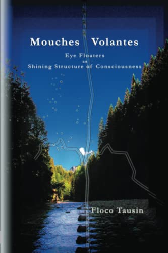 Stock image for Mouches Volantes: Eye Floaters as Shining Structure of Consciousness for sale by GF Books, Inc.