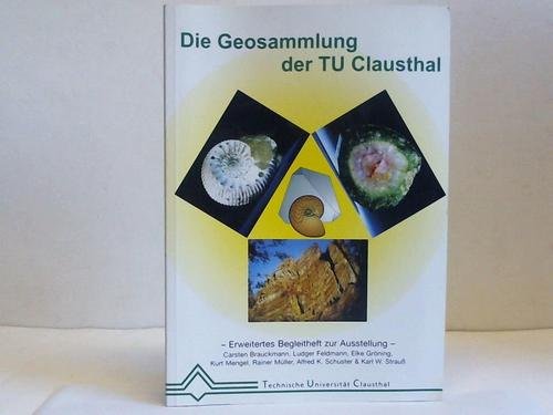 Beispielbild fr Schola Tigurina. Die Zrcher Hohe Schule und ihre Gelehrten um 1550. Kat. zur Ausst. vom 25. Mai bis 10. Juli 1999 in der Zentralbibliothek Zrich. 2. unv. A. zum Verkauf von Mller & Grff e.K.