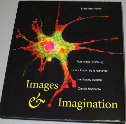 9783907770863: Images & Imagination