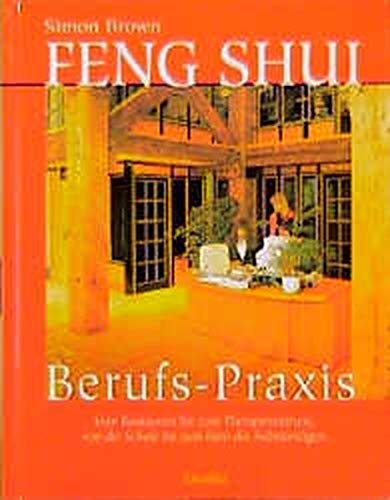 9783908653127: Feng Shui Berufs-Praxis