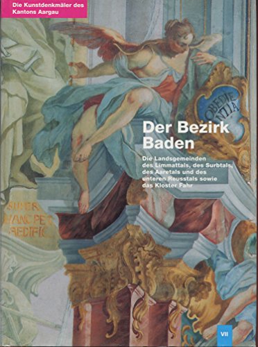 Beispielbild fr Die Kunstdenkmler des Kantons Aargau VII (Kunstdenkmler der Schweiz) zum Verkauf von Studibuch