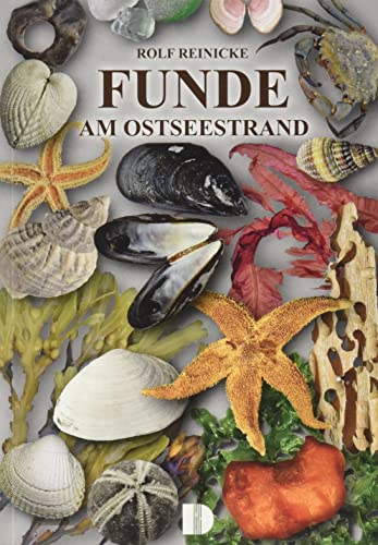 Stock image for Funde. Am Ostseestrand -Language: german for sale by GreatBookPrices