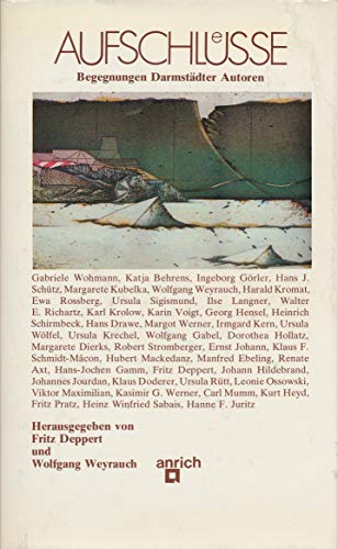 9783920110424: Aufschlusse: Begegnungen Darmstadter Autoren (German Edition)