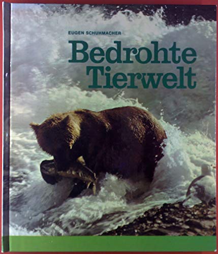 Stock image for Bedrohte Tierwelt. Sieben Jahre Filmarbeit auf allen Kontinenten. for sale by Steamhead Records & Books