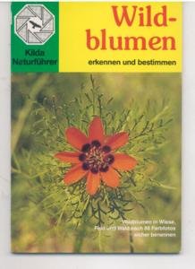 Stock image for Wildblumen erkennen und bestimmen for sale by medimops
