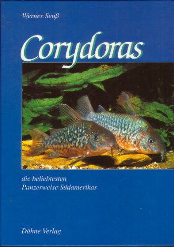 9783921684146: Corydoras, die beliebtesten Panzerwelse Sdamerikas