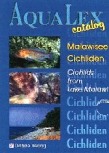 Stock image for AquaLex-Catalog, Malawisee-Cichliden: Cichlids from Lake Malawi. Einleitungstext in Englisch. Informationen ber Aquariengre, empfohlene Haltung, Brutpflege und Nahrungsgrundlage for sale by medimops