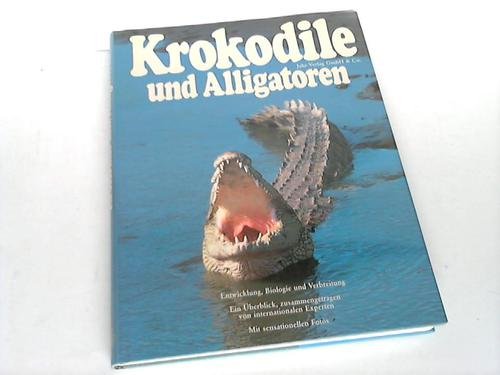 Krokodile und Aligatoren.
