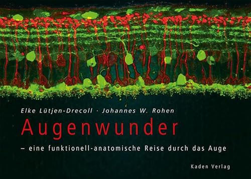 Beispielbild fr Augenwunder - eine funktionell-anatomische Reise durch das Auge zum Verkauf von medimops