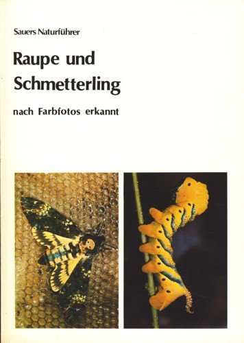 Imagen de archivo de Raupe und Schmetterling. Nach Farbfotos erkannt a la venta por medimops