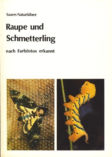 9783923010004: Raupe und Schmetterling. Nach Farbfotos erkannt