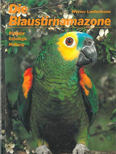 Stock image for Die Blaustirnamazone. Biologie, Ethologie und Haltung for sale by medimops