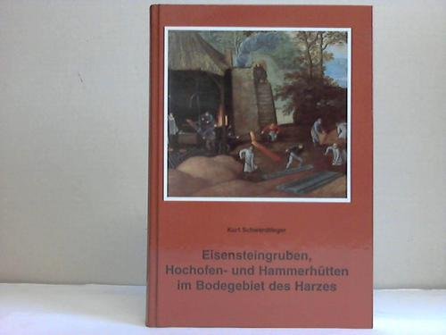 9783923605194: Eisensteingruben, Hochofen- und Hammerhtten im Bodegebiet des Harzes