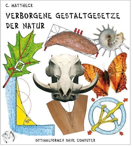 Beispielbild fr Verborgene Gestaltgesetze der Natur: Optimalformen ohne Computer Claus Mattheck FEM SoftKillOption SKO Leichtbau Zugspannunge Naturwissenschaften Bionik Schadensvermeidung zum Verkauf von BUCHSERVICE / ANTIQUARIAT Lars Lutzer