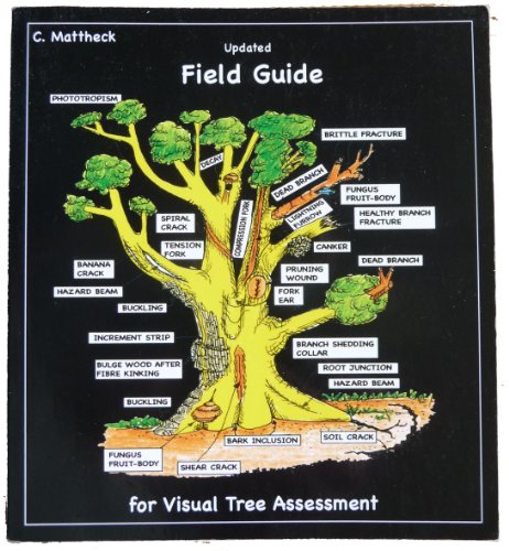 Updated Field Guide for Visual Tree Assessment (9783923704590) by Claus Mattheck