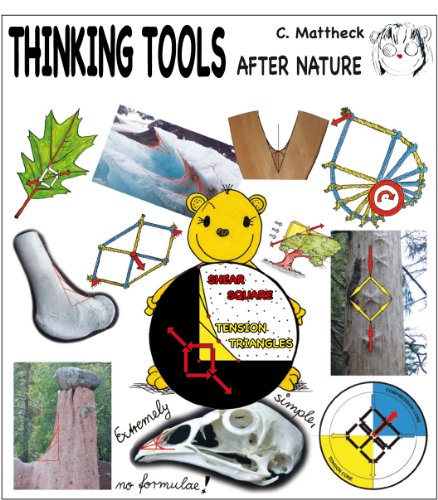 Beispielbild fr Thinking Tools after Nature (Englisch) von Claus Mattheck (Autor) zum Verkauf von BUCHSERVICE / ANTIQUARIAT Lars Lutzer