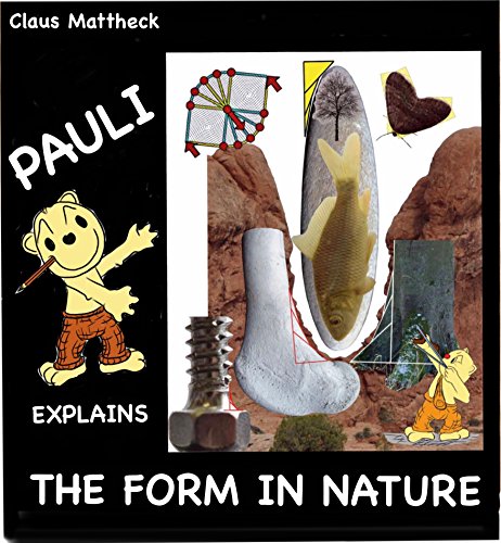 Beispielbild fr Pauli explains the form in nature zum Verkauf von medimops