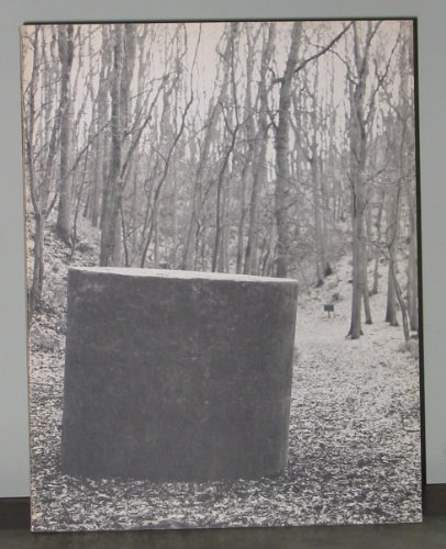 Beispielbild fr Neue Skulpturen in Europa 1986-1988. Recent Sculpture in Europe 1986-1988. zum Verkauf von Buli-Antiquariat