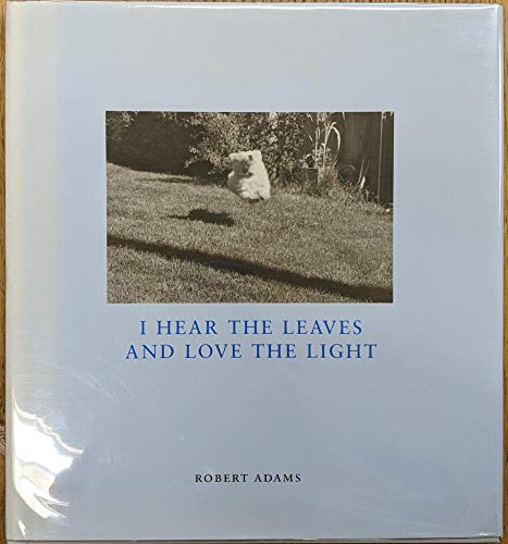 Imagen de archivo de I Hear the Leaves & Love the Light a la venta por Black Dog Books