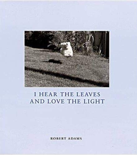 Stock image for I Hear the Leaves & Love the Light for sale by Black Dog Books