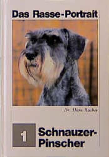 Imagen de archivo de Schnauzer - Pinscher. [Zeichn. Richard Strebel], Das Rasse-Portrait ; [1] a la venta por Hbner Einzelunternehmen