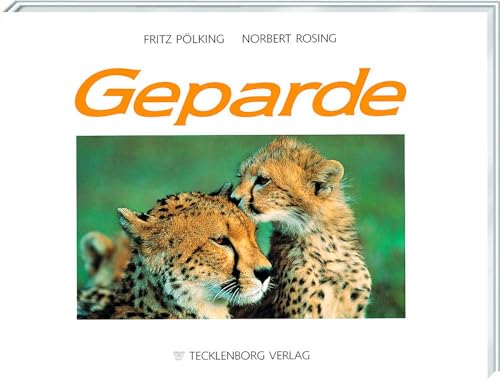 Stock image for Geparde: Die schnellsten Katzen der Welt for sale by medimops
