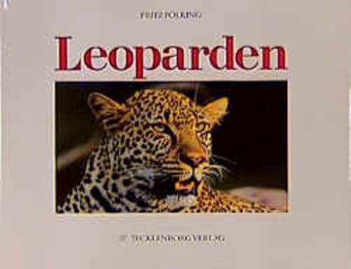 Beispielbild fr Leoparden: Die geheimnisvollen Katzen zum Verkauf von medimops