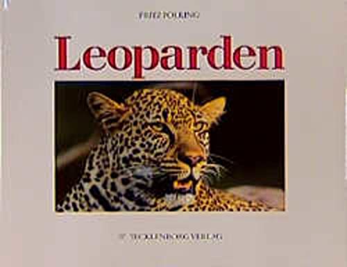 Stock image for Leoparden: Die geheimnisvollen Katzen for sale by medimops
