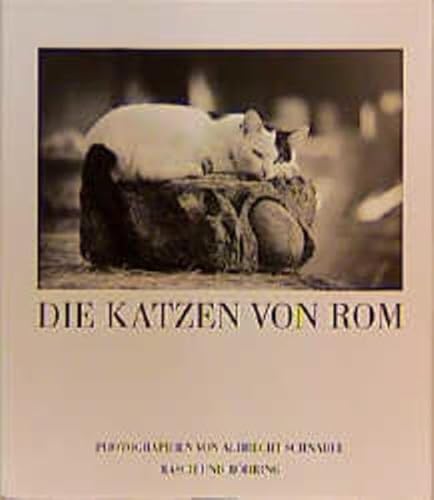 9783924044732: Die Katzen von Rom