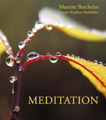Stock image for Meditation for sale by GreatBookPrices