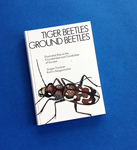 9783924333058: Tiger Beetles, Ground Beetles: Illustrated Key to the Cicindelidae and Carabidae of Europe