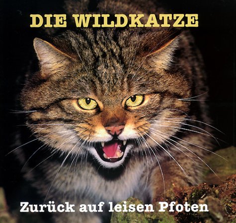 Die Wildkatze : Zurück auf leisen Pfoten.