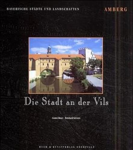 Stock image for Die Stadt an der Vils. Amberg for sale by medimops